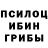 Псилоцибиновые грибы ЛСД Alex Eroxin